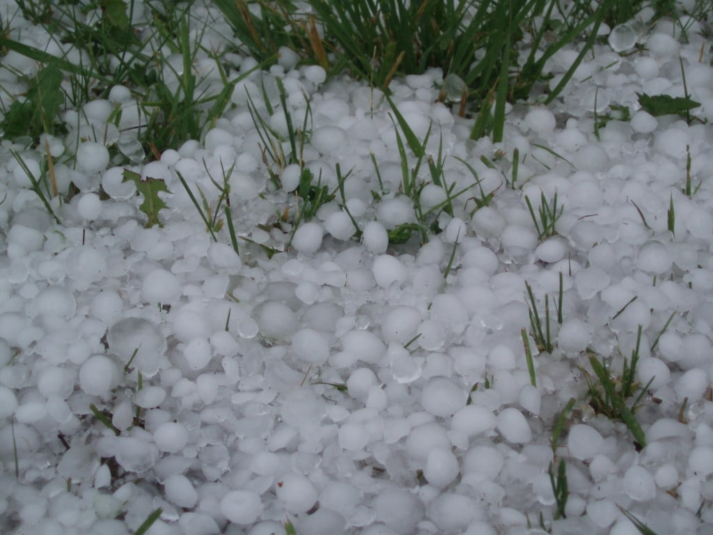 texas 1 in hailstorm damage