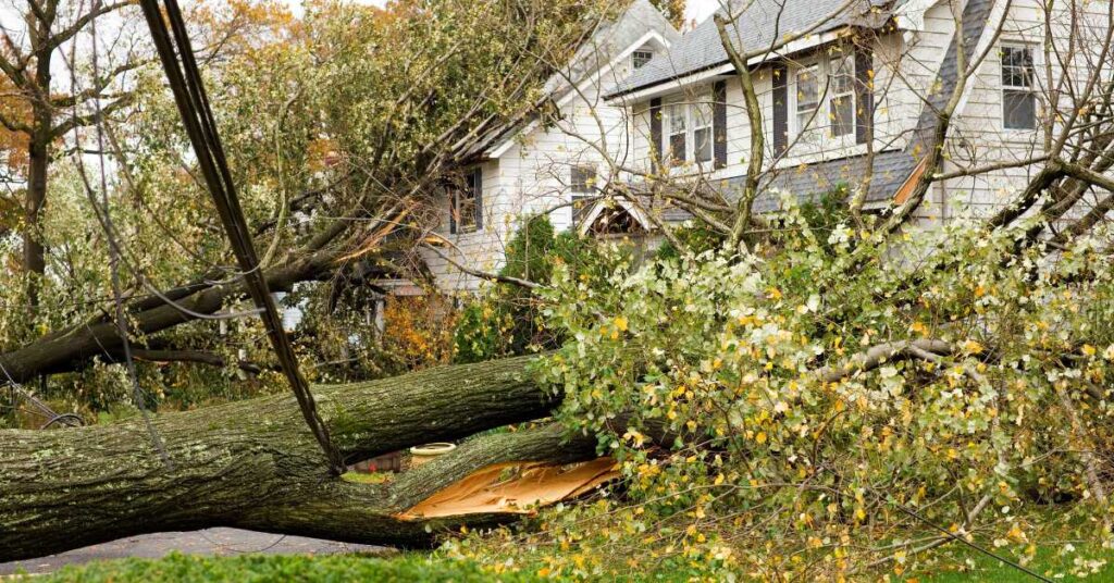 hurricane francine damage