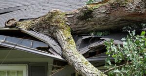 Storm Damage Claims