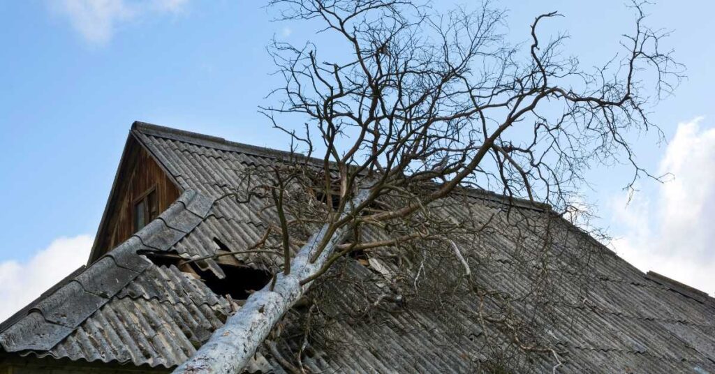 Storm Damage Claim
