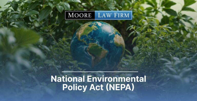 National Environmental Policy Act (NEPA)